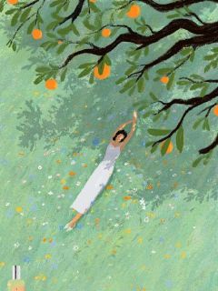 宁枝孟凌离婚后娘家不认我，却不知我分到十亿小说完整版