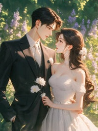 念舒沈知期夏瑶小说抖音热文飞蛾扑火，迷途不返完结版