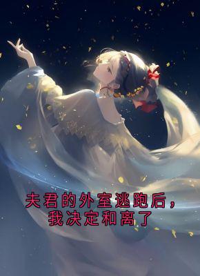 热文夫君的外室逃跑后，我决定和离了小说-主角谢臣宁沈清漪洛凌霜全文在线阅读