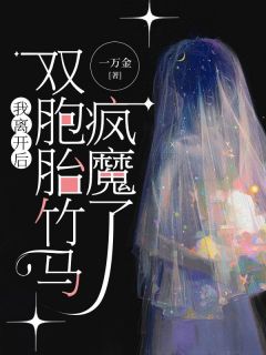 主角程南沈潇潇小说爆款我离开后,双胞胎竹马疯魔了完整版小说