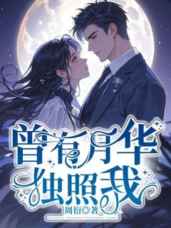 曾有月华独照我小说主角是宋晓英林文哲全文完整版阅读