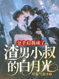 正版小说分手后,我成了渣男小叔的白月光秦念笙顾衍之在线免费阅读