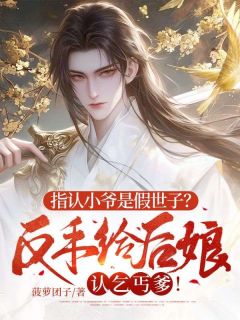 精品小说指认小爷是假世子？反手给后娘认乞丐爹！全文目录畅读-欧迈阅读网