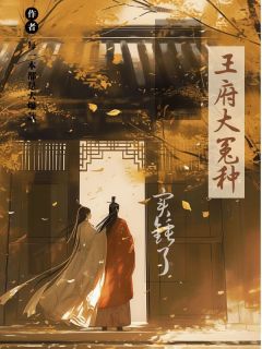 王府大冤种实锤了(每一本都是大爆款小说)小说最新章节-欧迈阅读网