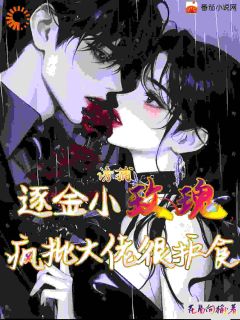 火爆诱捕逐金小玫瑰，疯批大佬很护食小说，主角是钱亿江晚意在线阅读全文无删减