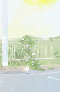 乔语程野小说最后结局 乔语程野完结版免费阅读