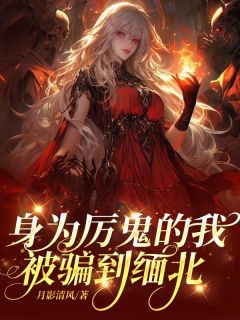 身为厉鬼的我被骗到缅北by柳婧周芷兰在线阅读-欧迈阅读网