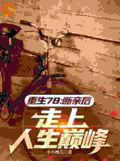 陆远陆苗主角小说重生78:断亲后,走上人生巅峰抖音文免费阅读全文