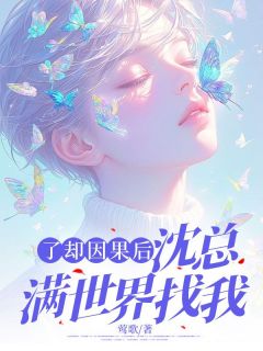抖音爆款了却因果后，沈总满世界找我完整小说（全文阅读）