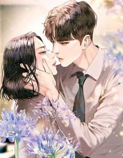 云只会为你停留叶停云陈芷柔-小说未删减阅读