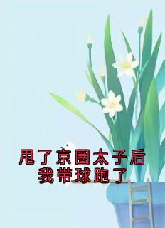 甩了京圈太子后我带球跑了江缘沈如晦江桃桃小说全文-甩了京圈太子后我带球跑了小说