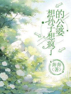 主角张岭方慧小说，想孙子想疯了的公婆免费阅读全文