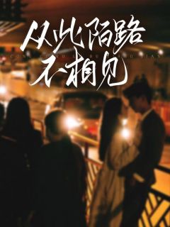 从此陌路不相见苏安河陆欣然by澄落免费看