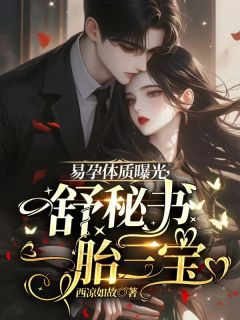 易孕体质曝光,舒秘书一胎三宝(颜舒霍屿州)小说全章节目录阅读