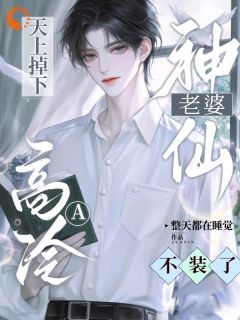 书荒必备京墨陆荀小说