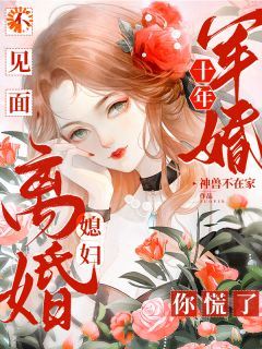 沈流芳边叙小说军婚十年不见面，媳妇离婚你慌了完整章节