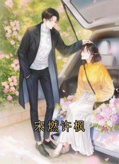 许枫闻懿宋燃小说最后结局 许枫闻懿宋燃完结版免费阅读-欧迈阅读网