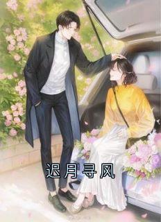 许枫闻懿宋燃章节免费阅读