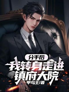 全章节小说分手后,我转身走进镇府大院甲鸟王最新阅读