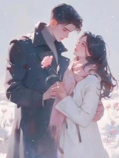 书荒必备宋沐妍郑易州小说-欧迈阅读网