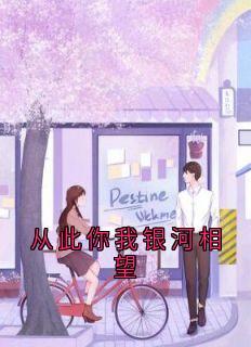 主角是沈时愿谢聿深的小说叫什么从此你我银河相望免费全文阅读-欧迈阅读网