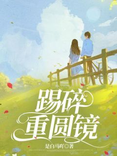 李博成洪嘉嘉结婚了吗(洪嘉嘉李博成)全文章节在线阅读