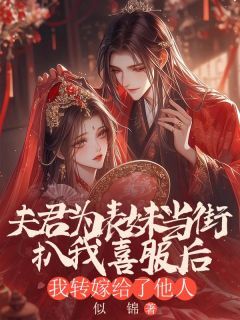 私藏读物夫君为表妹当街扒我喜服后，我转嫁给了他人岁宁李墨白完结版免费阅读