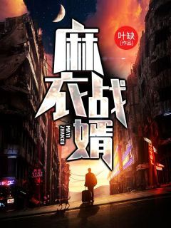 麻衣战婿韩绝苏冰全章节完结版在线阅读