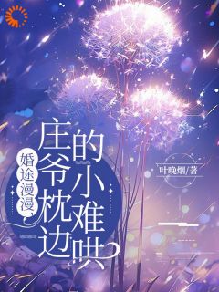 婚途漫漫,庄爷枕边的小难哄精彩小说-婚途漫漫,庄爷枕边的小难哄目录阅读
