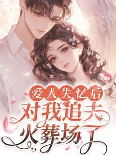 无弹窗小说爱人失忆后，对我追夫火葬场了 作者玖棠