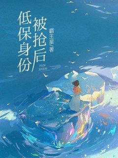 最完整版低保身份被抢后热门连载小说