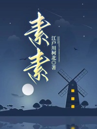 抖音爆款素素小说免费阅读