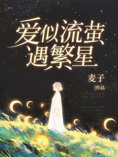 (抖音)爱似流萤遇繁星沐星澜陆司沉小说免费全文阅读
