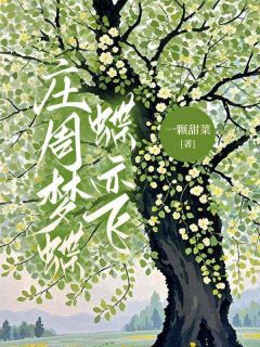 安良辰宋问凝宋问月是什么小说免费版阅读抖音热文