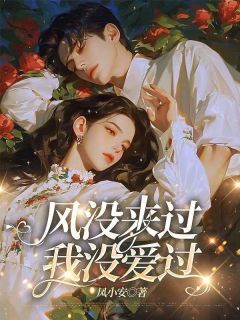 风没来过，我没爱过(凤小安)最佳创作小说全文在线阅读