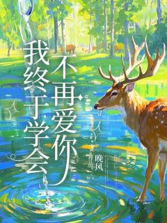 我终于学会不再爱你小说全章节目录阅读BY晚风完结版阅读