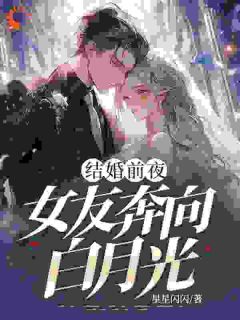 结婚前夜,女友奔向白月光(秦凯周佩洁)全文章节在线阅读-欧迈阅读网