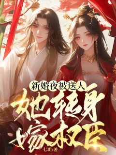 七玥写的小说新婚夜被送人，她转身嫁权臣宋晚谢停舟全文阅读