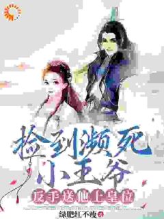 快手热文捡到濒死小王爷，反手送他上皇位雪小暖战无忌小说推荐