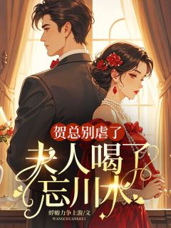 乔南意贺斯丞小说最后结局 乔南意贺斯丞完结版免费阅读-欧迈阅读网