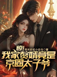 惊!我家赘婿竟是京圈太子爷全本小说(惊!我家赘婿竟是京圈太子爷)全文阅读