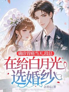 确诊胃癌当天，段总在给白月光选婚纱精彩小说-确诊胃癌当天，段总在给白月光选婚纱目录阅读