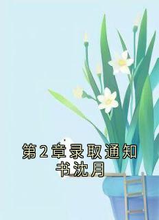 抖音爆款第2章录取通知书沈月完整小说(全文阅读)-欧迈阅读网