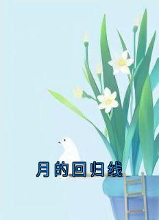 主人公沈月张杨小说月的回归线在线全文阅读