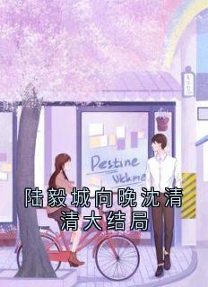 完整版陆毅城向晚沈清清大结局温向晚陆毅城小说免费在线阅读-欧迈阅读网