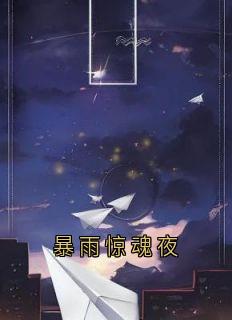 【暴雨惊魂夜】小说在线阅读-暴雨惊魂夜免费版目录阅读全文