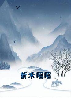 主角是陆震霆赵禾的新禾昭昭抖音热门小说