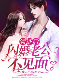 领证后,闪婚老公不见面免费阅读全文,主角莫菲菲楚风城小说完整版