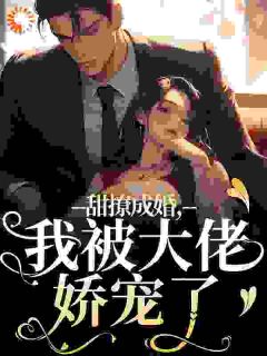 优质新书甜撩成婚，我被大佬娇宠了最新章节小说全文阅读