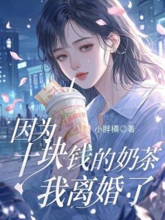 季长民杨婉珊因为十块的奶茶，我离婚了小说完整版